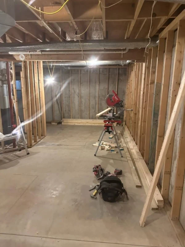Basement refinishing project